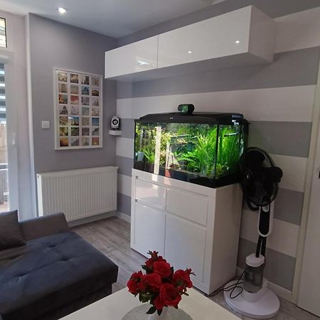 גיז'יצקו Apartament Rodzinny Z Ogrodkiem W Centrum Gizycka מראה חיצוני תמונה